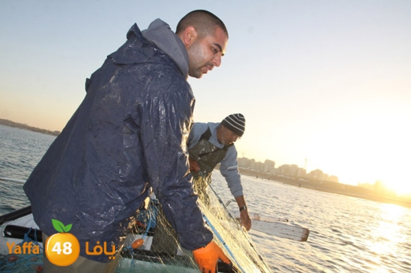 sayyadnewyaffa3 (57).JPG